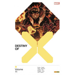Destiny of X 11
