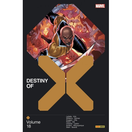 Destiny of X 17