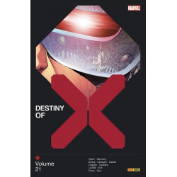 Destiny of X 21