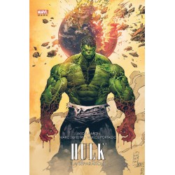 Hulk 1 - La Séparation