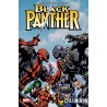 Marvel Select : Black Panther 1