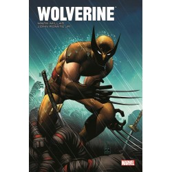 Wolverine, Les Origines et la Fin