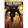Black Panther : Qui Est La Panthère Noire ?