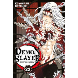 Demon Slayer 21