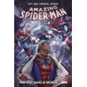 Amazing Spider-Man : Partout dans le Monde