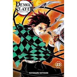 Demon Slayer 23 Edition Collector