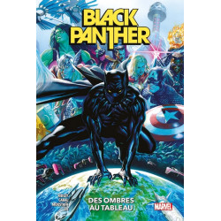 Black Panther 01 Des Ombres au Tableau