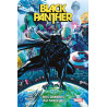 Black Panther 01 Des Ombres au Tableau