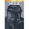 Hulk : Gris