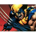 Wolverine (v4)